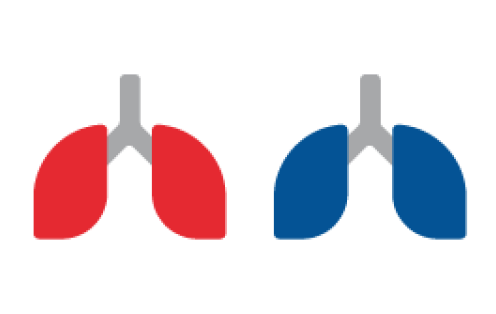 Stylised lung icons in red and blue.